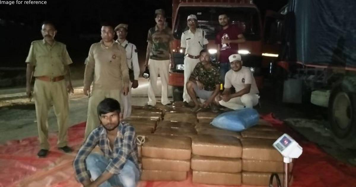 Assam: Police seize 1100 kg ganja worth about Rs 2 crore, one held